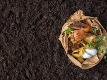 Hamilton Compost Trip